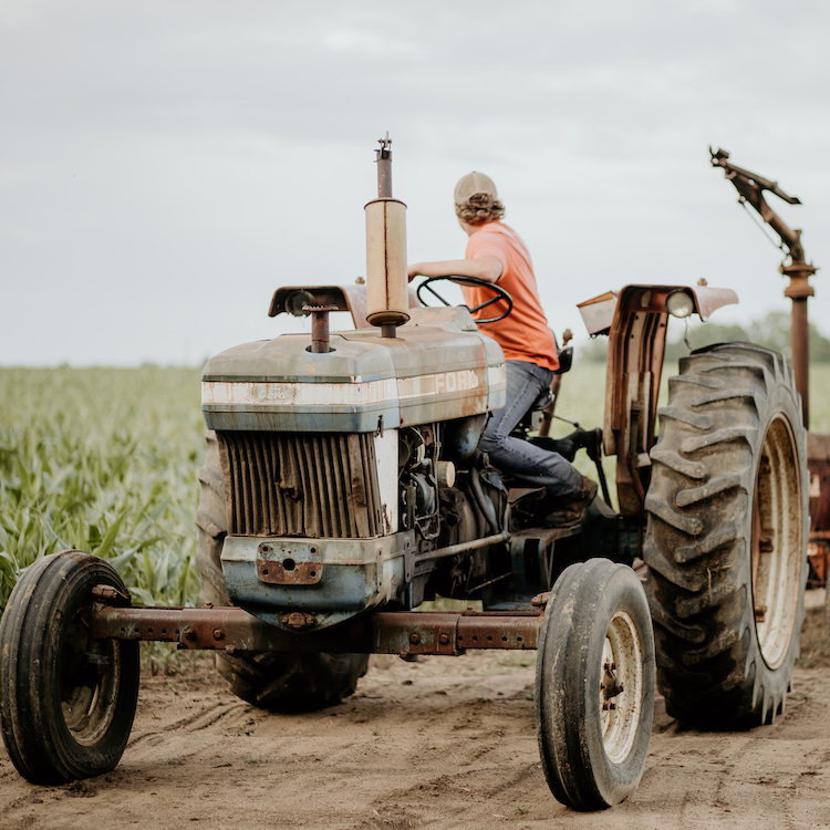 Agriculture recognized as critical to COVID-19 response